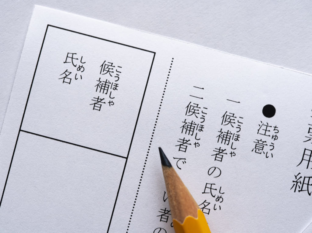 投票の参考画像