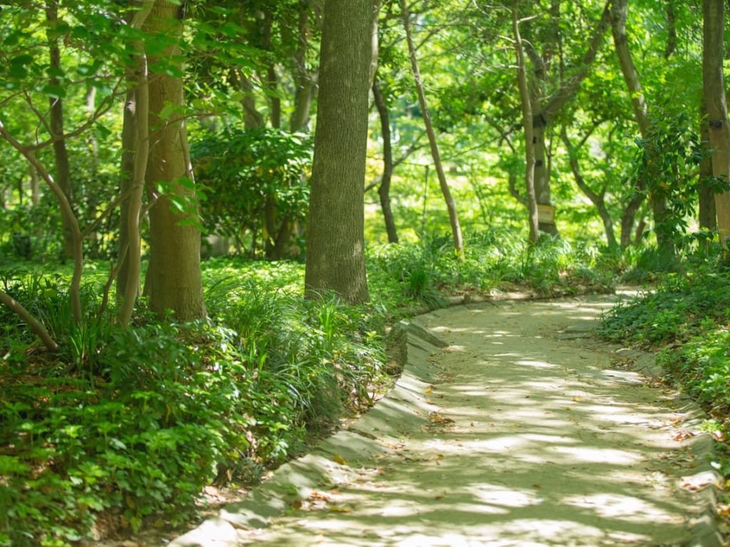 里山の参考画像