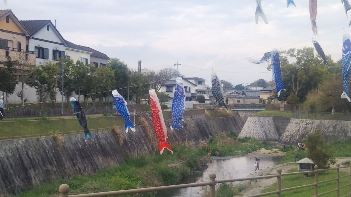 こいのぼり「ひつじ公園」