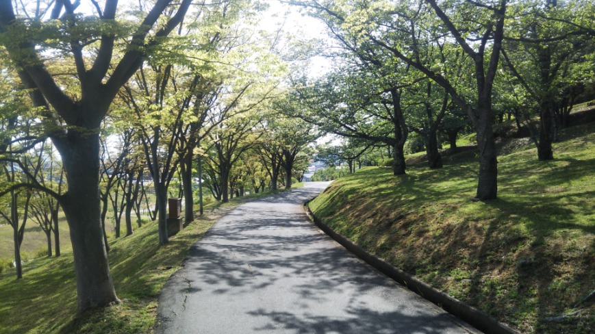 黒鳥山公園