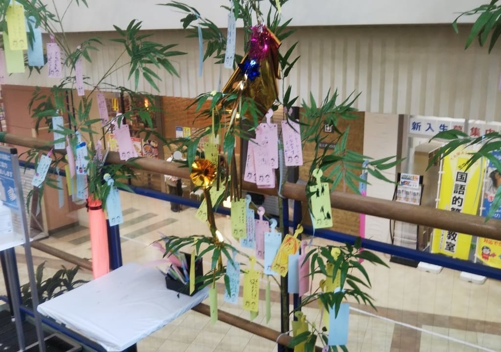 七夕笹飾りコムボックス光明池