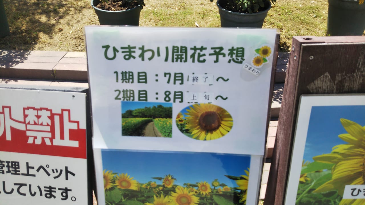 和泉リサイクル環境公園