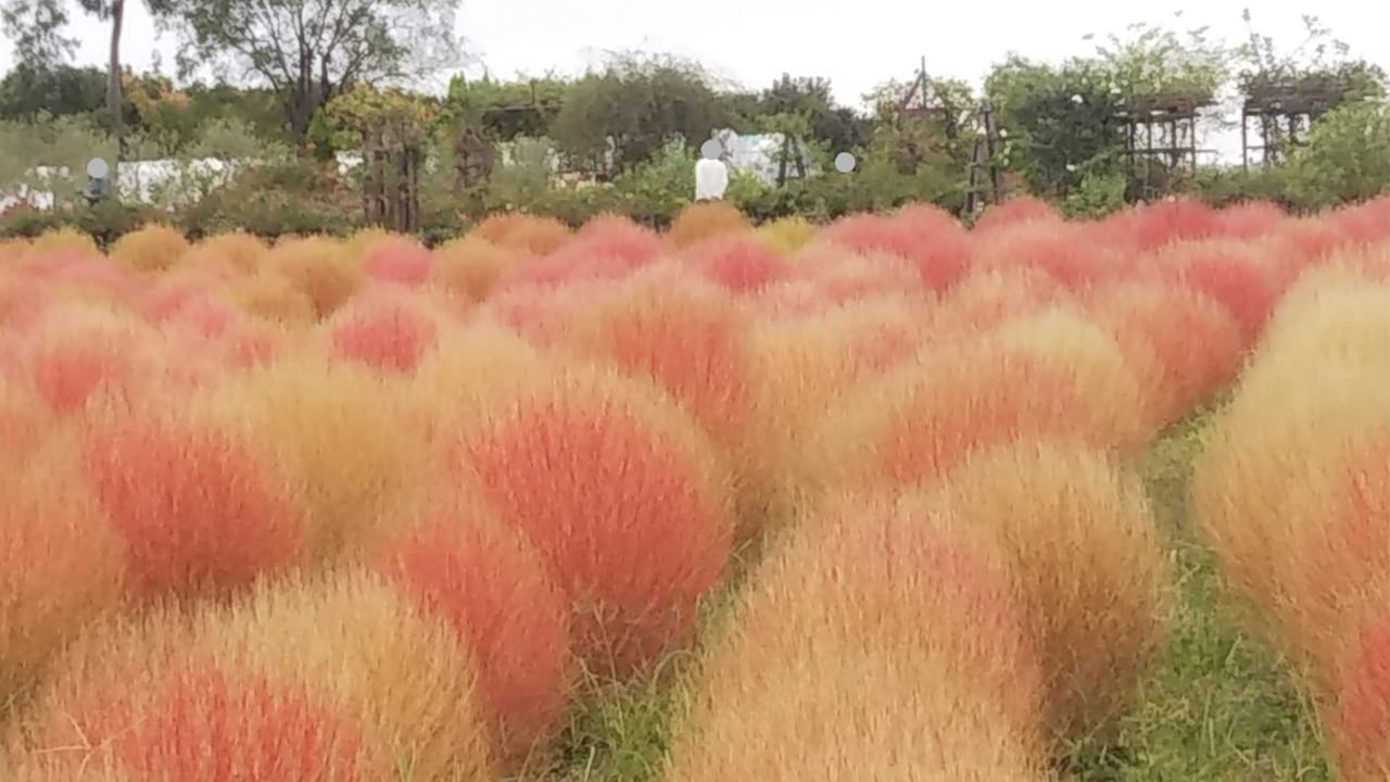 リサイクル環境公園2022秋