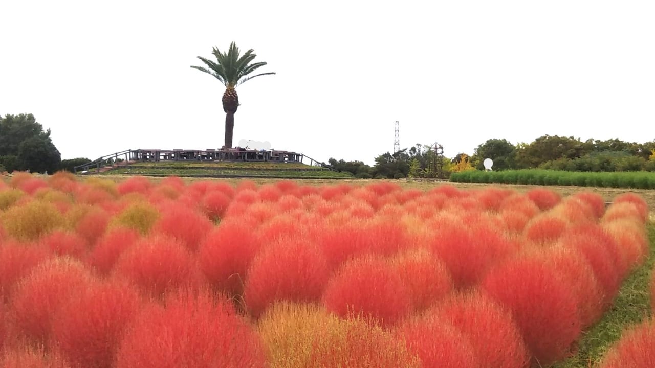 リサイクル環境公園2022秋