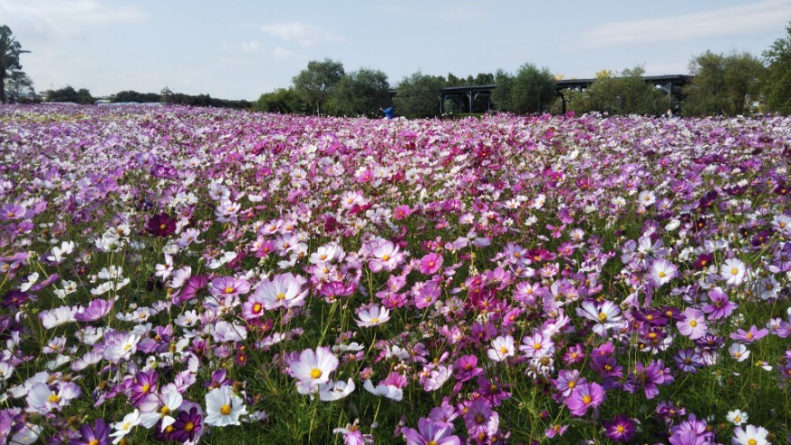 和泉リサイクル環境公園2022