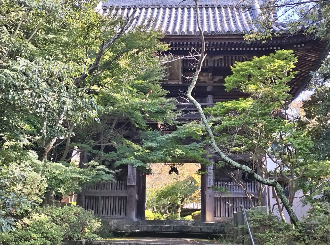 松尾寺