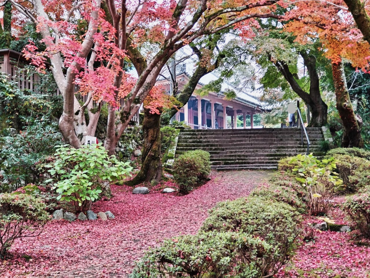 松尾寺