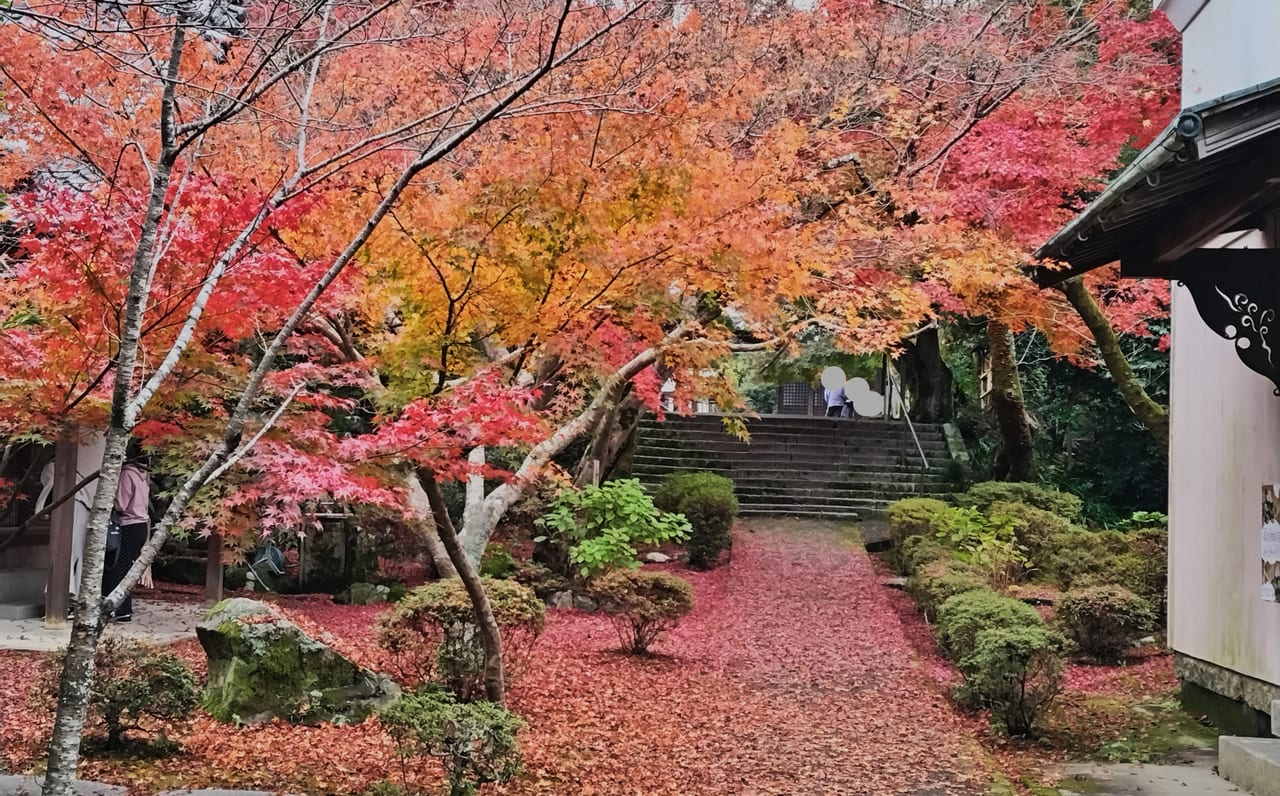 松尾寺