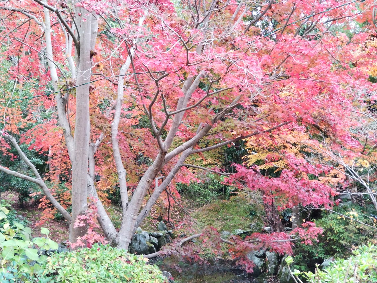 松尾寺