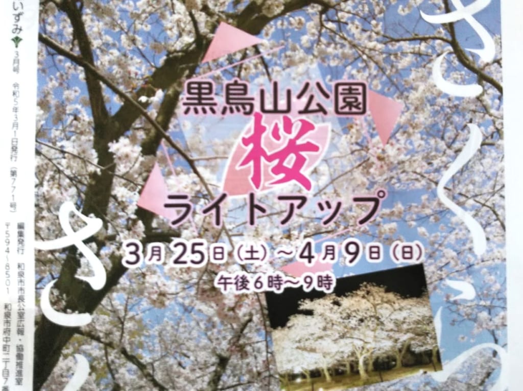 黒鳥山公園桜のライトアップ2023