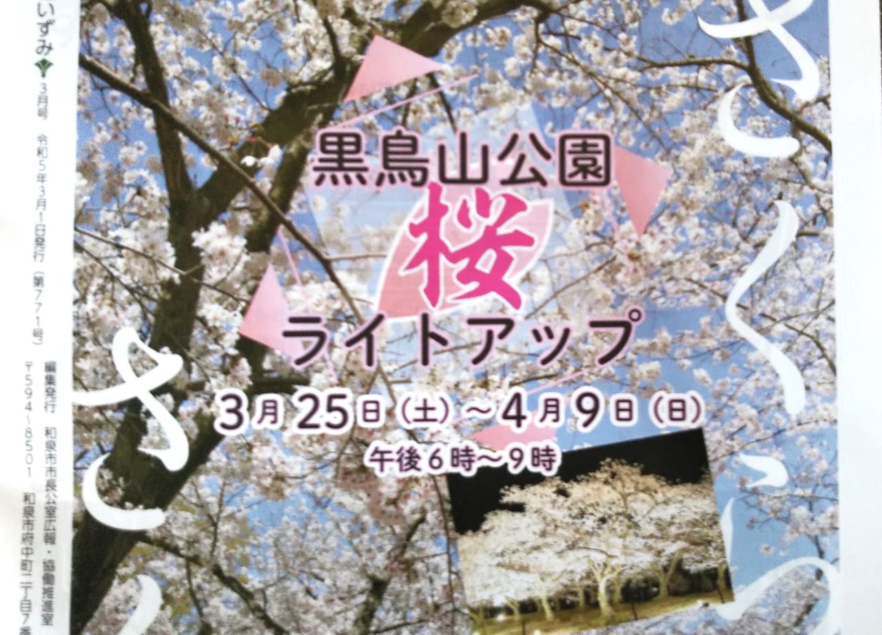 黒鳥山公園桜のライトアップ2023