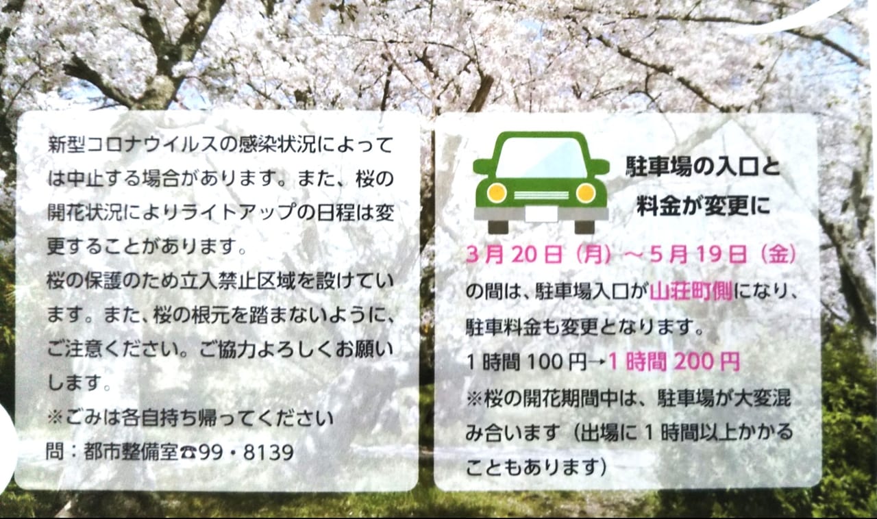 黒鳥山公園桜のライトアップ2023