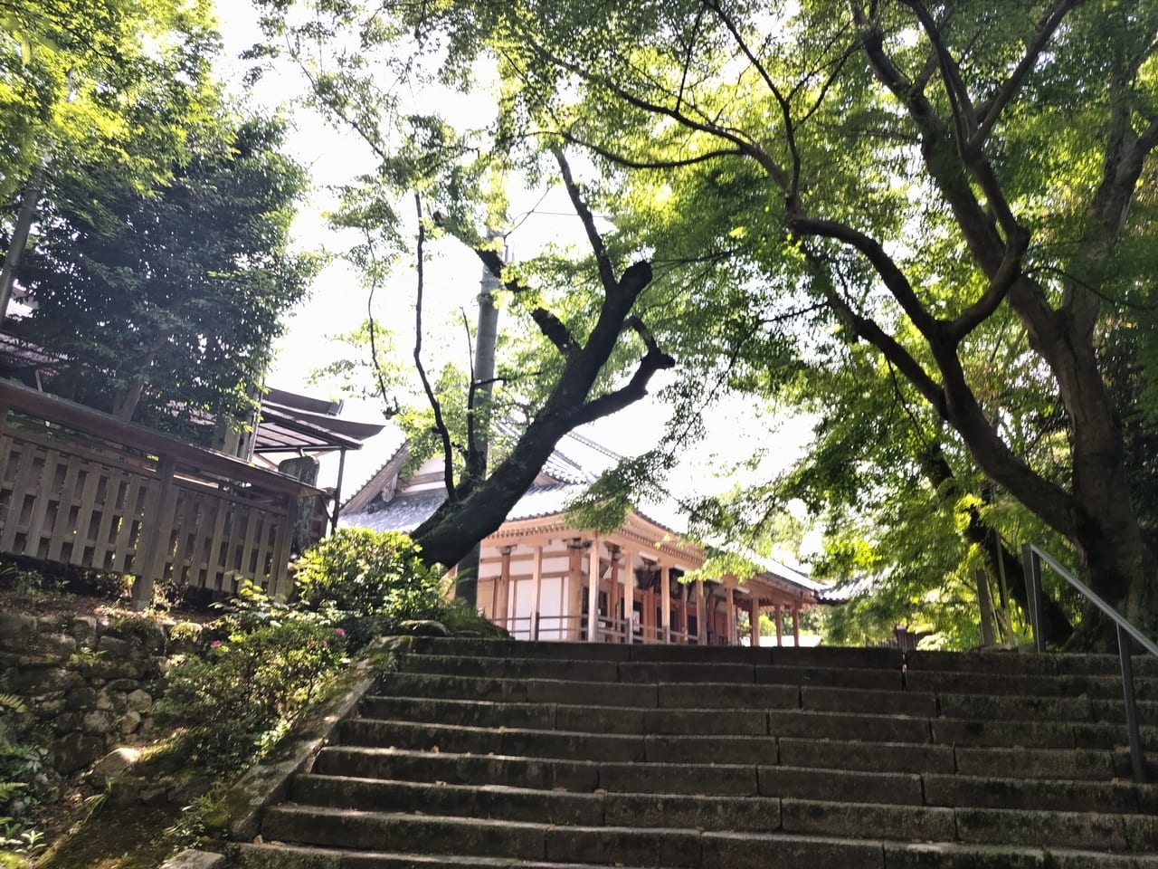 松尾寺2023年初夏