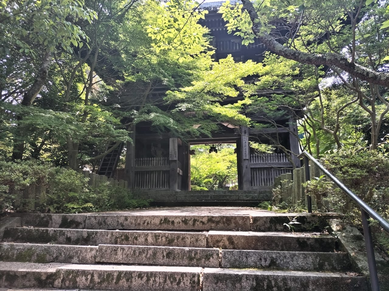 松尾寺2023年初夏