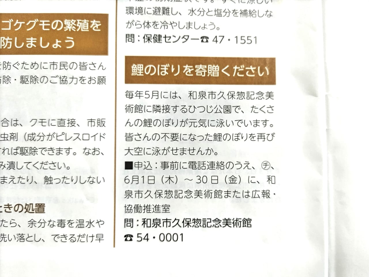 こいのぼりを寄贈してください広報6月