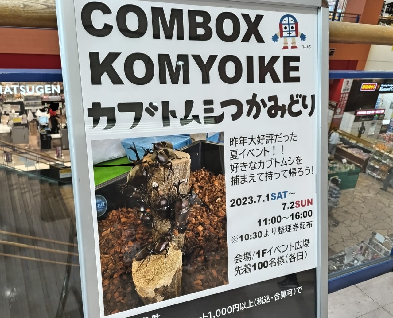 カブトムシつかみどりコムボックス光明池2023