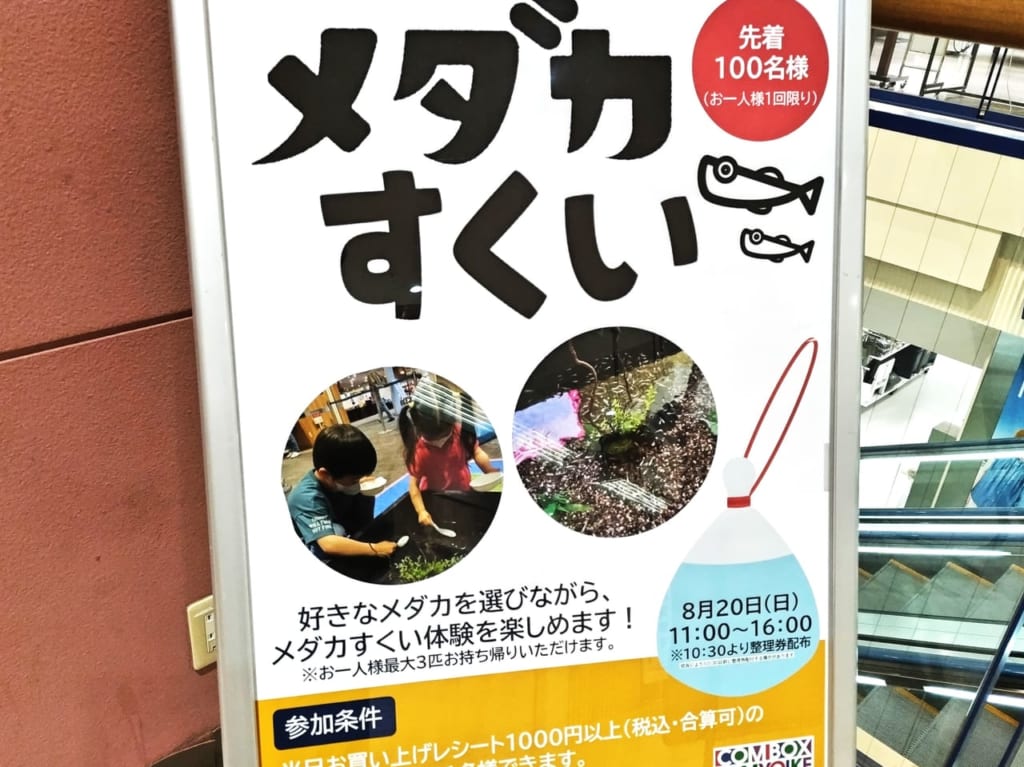 メダカすくいコムボックス光明池2023