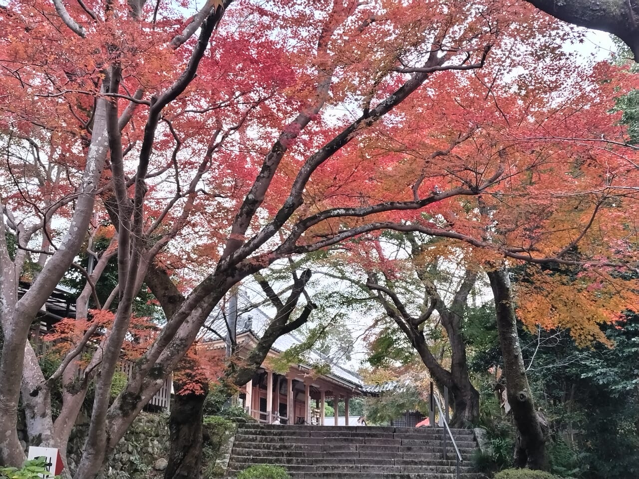 松尾寺2023