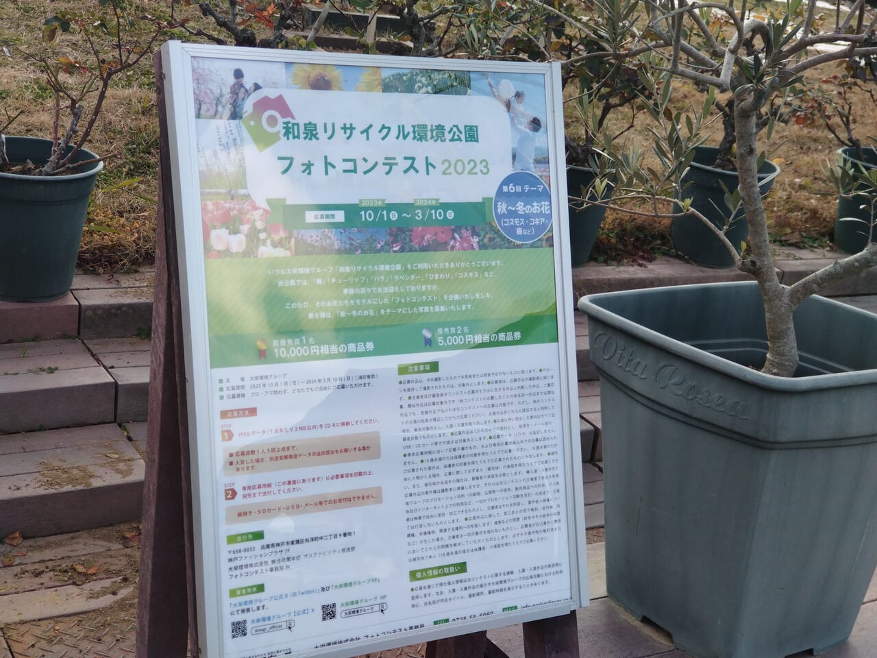 和泉リサイクル環境公園フォトスポットで2023
