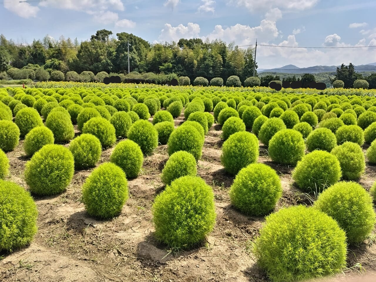 和泉リサイクル環境公園