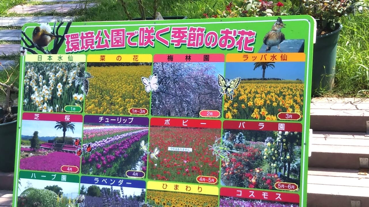 和泉リサイクル環境公園