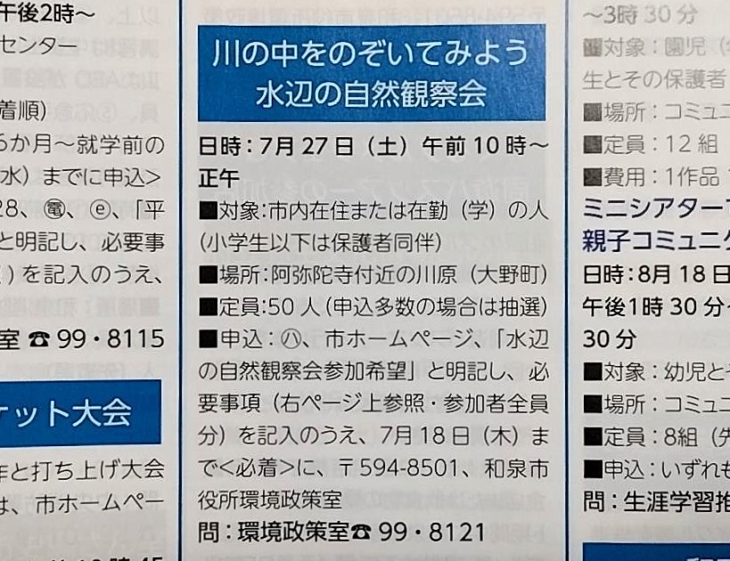 川の中をのぞいてみよう広報いずみ7月号