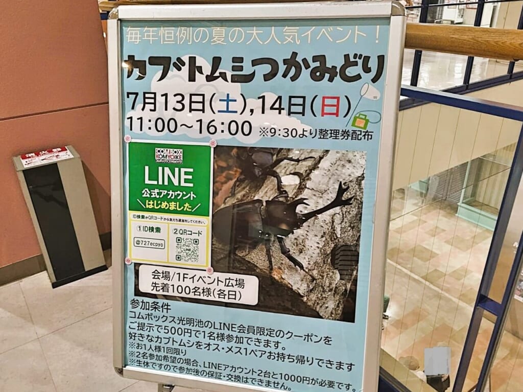 カブトムシつかみどりコムボックス光明池2024