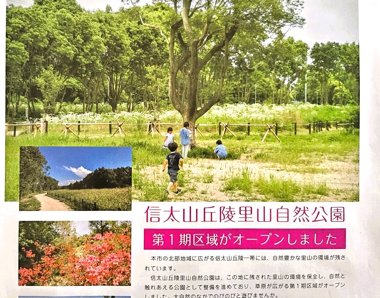 信太山丘陵里山自然公園