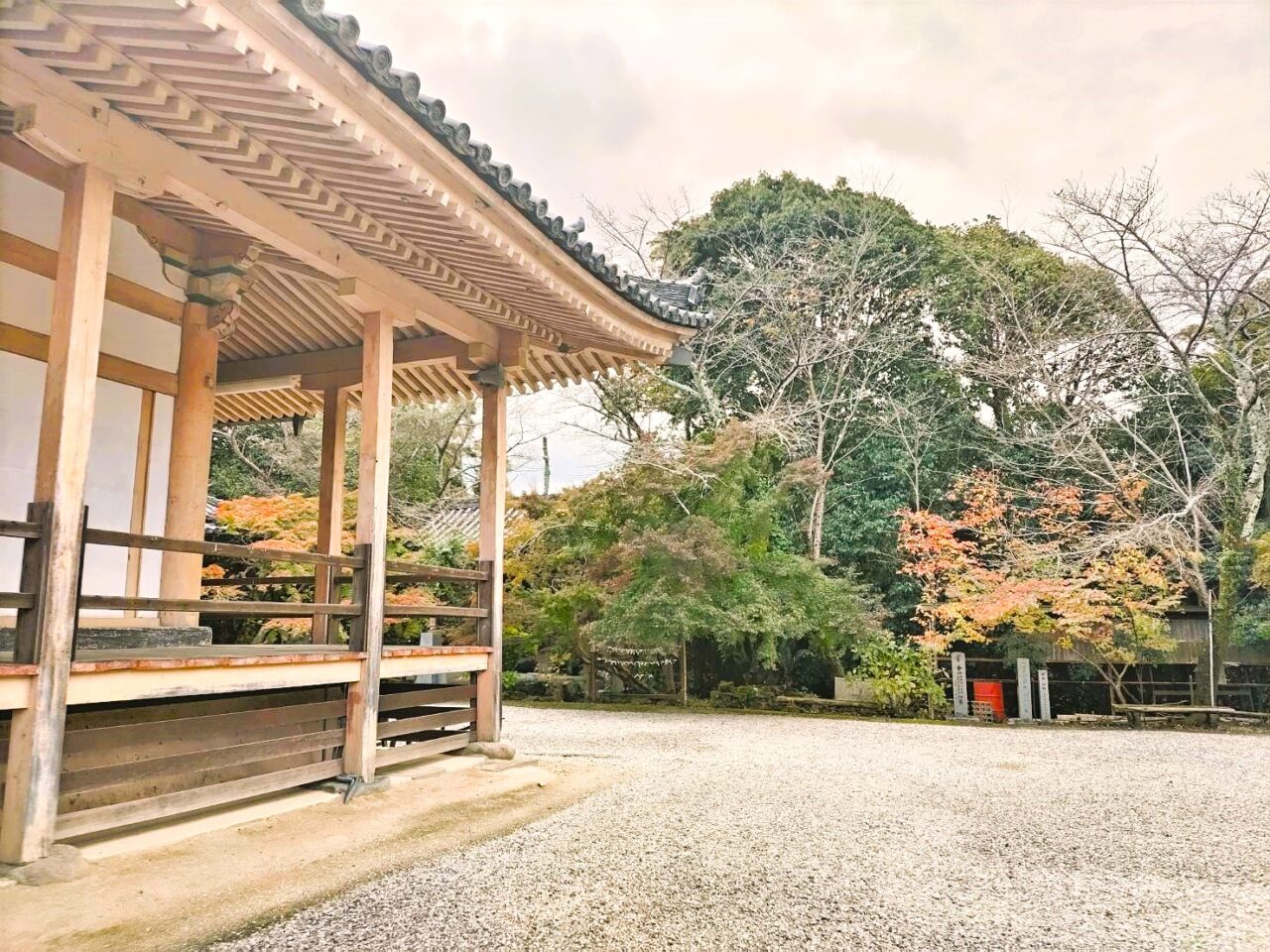 松尾寺2024