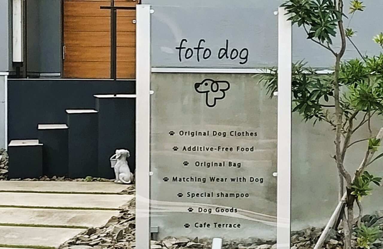 DOG SELECT SHOP fofo