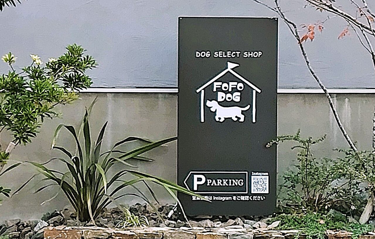 DOG SELECT SHOP fofo