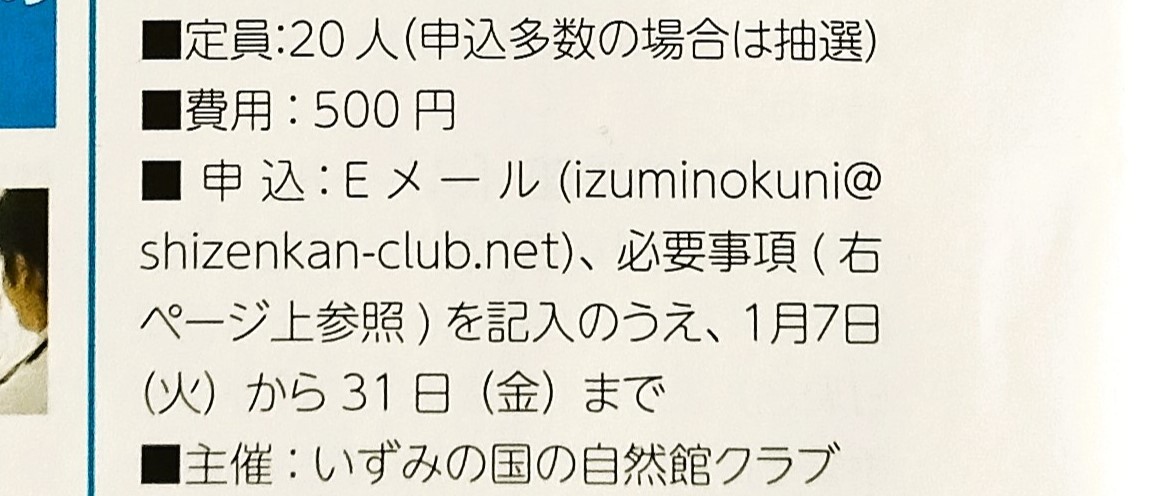 広報いずみ1月号　化石クリーニング