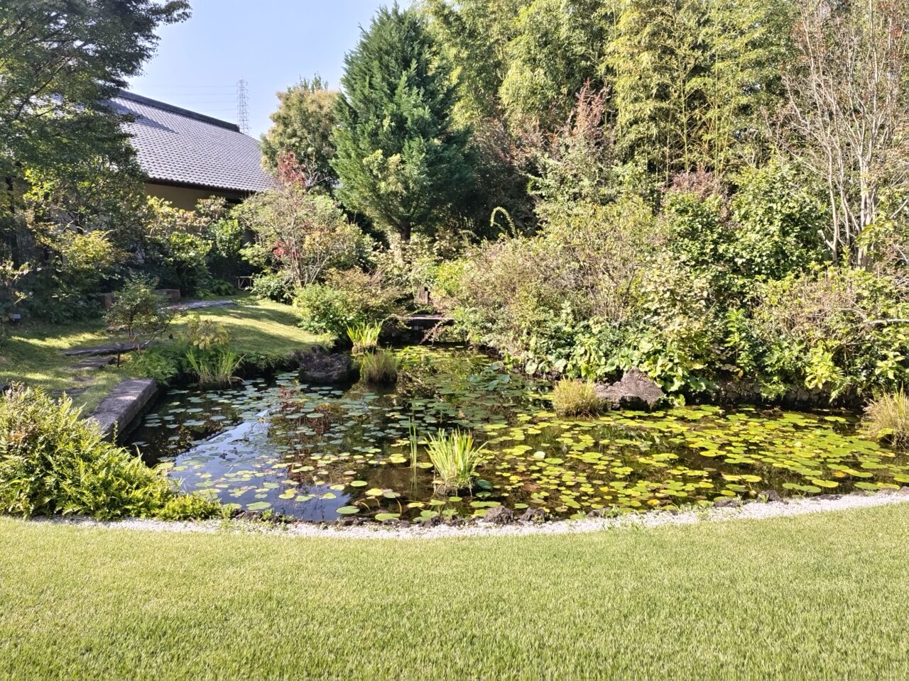 久保惣記念美術館　庭園