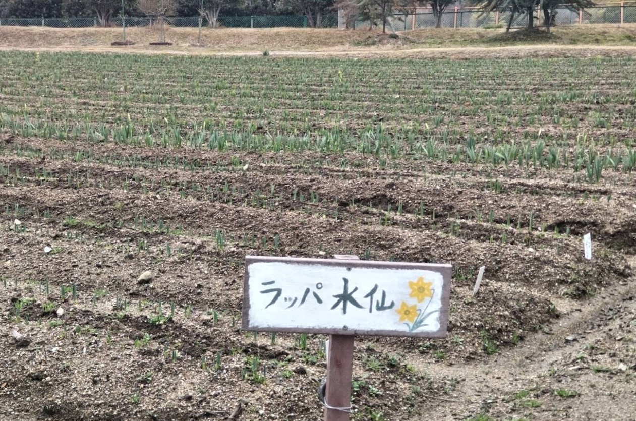 和泉リサイクル環境公園2025年3月