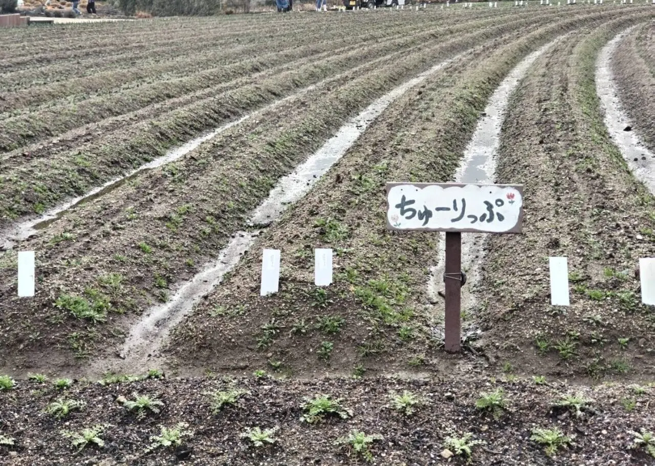 和泉リサイクル環境公園2025年3月