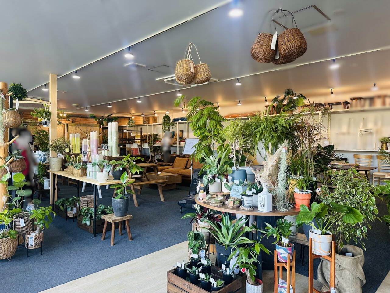 yachill いずみ店店内風景