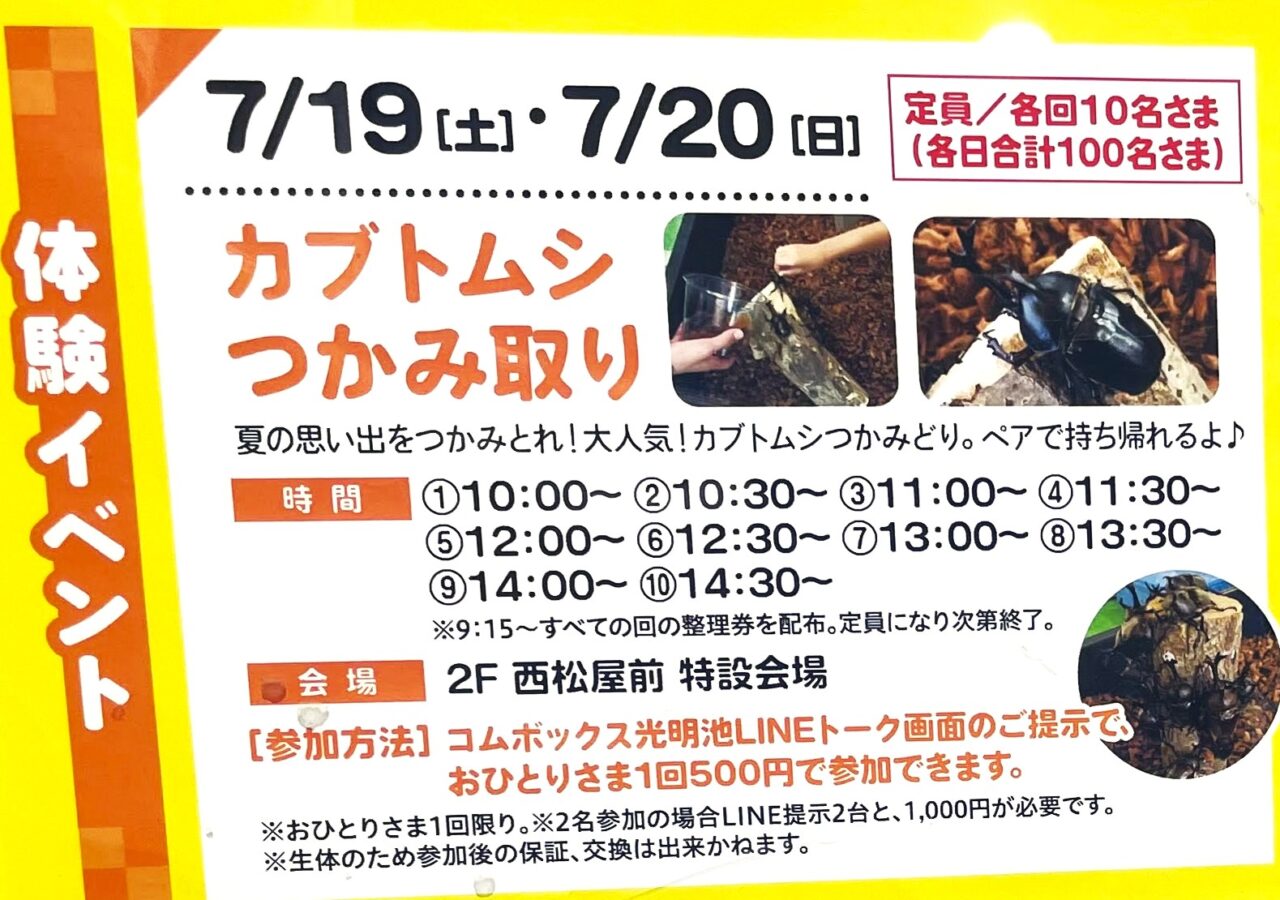 かぶとむしつかみどり詳細