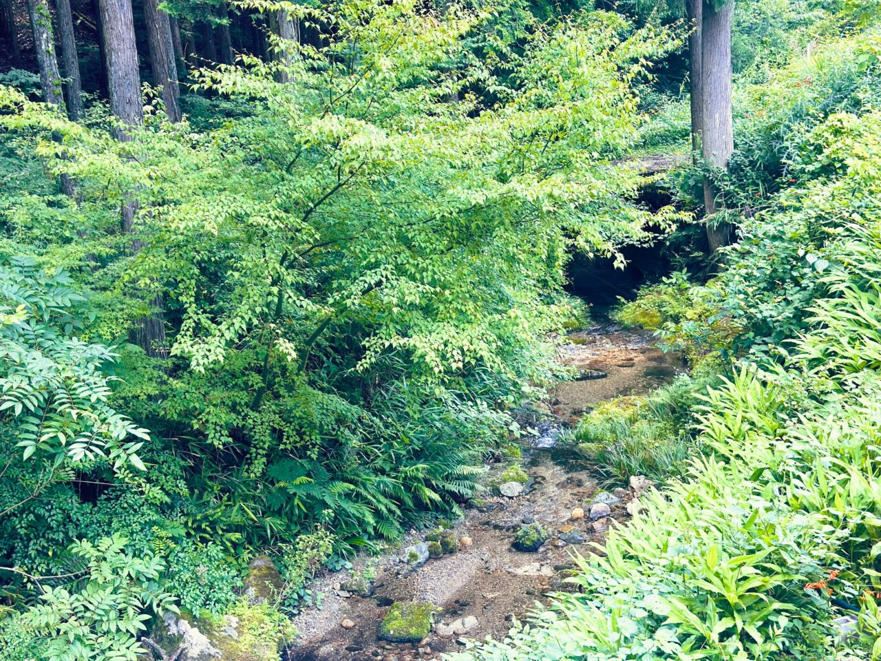 槙尾山荘Nuvola近くの川
