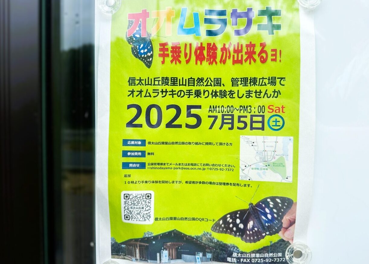 オオムラサキ手乗り体験2025