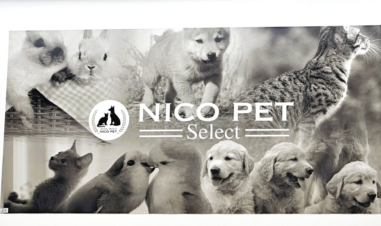 ＮＩＣＯ　ＰＥＴ　スーパービバホーム和泉中央店　看板