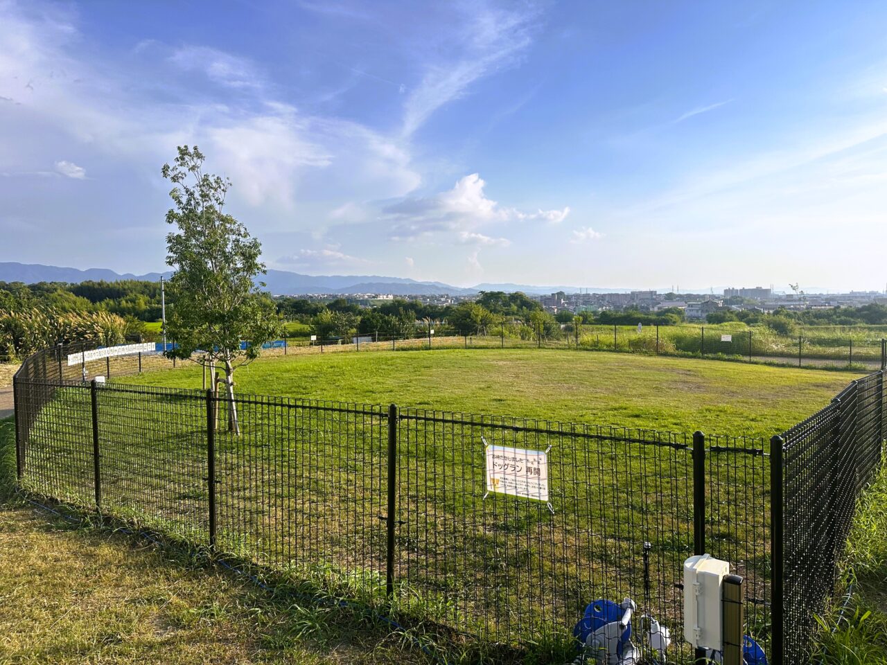 黒鳥山公園のドッグランは芝生で無料