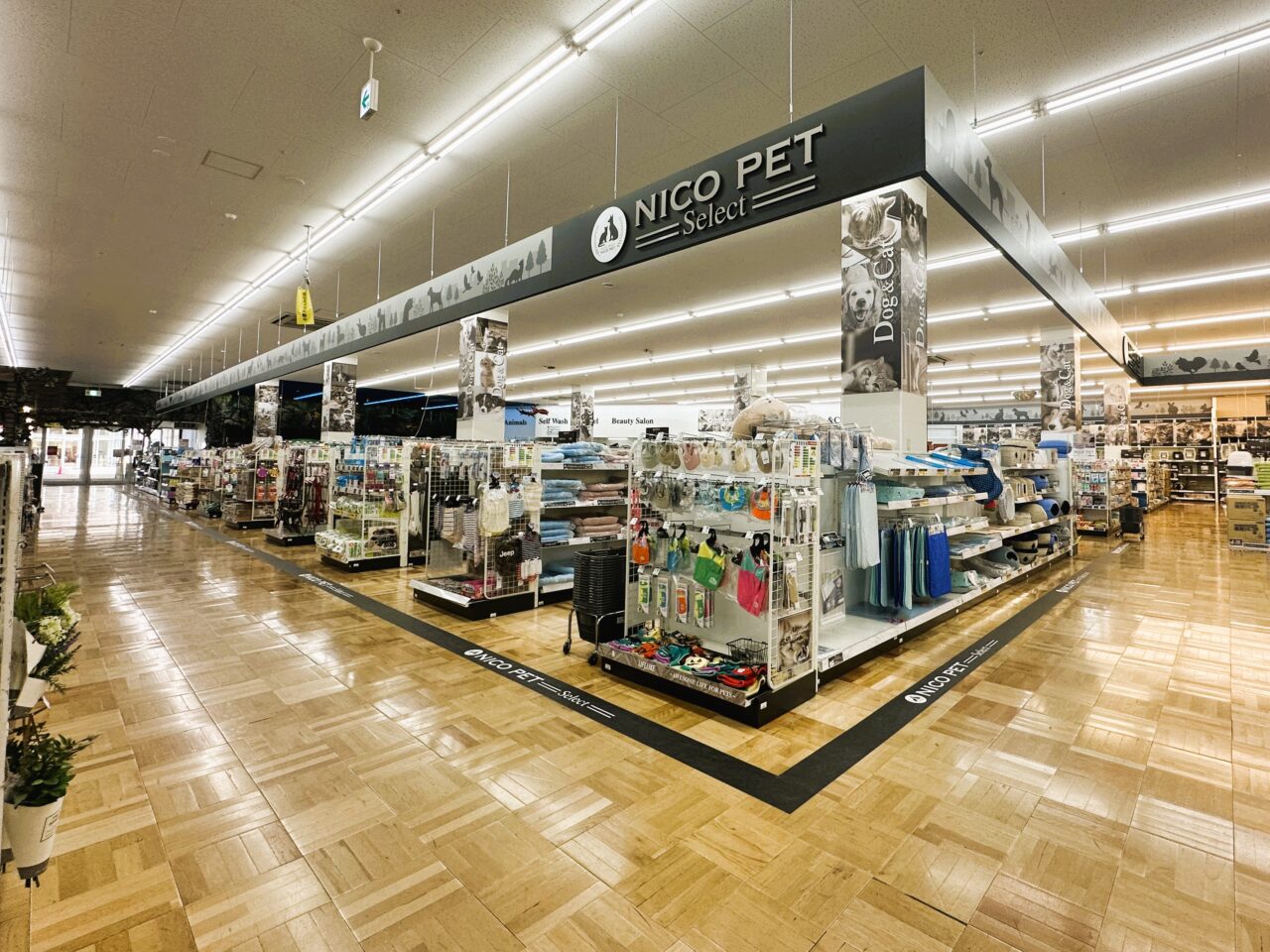 ＮＩＣＯ　ＰＥＴ　スーパービバホーム和泉中央店