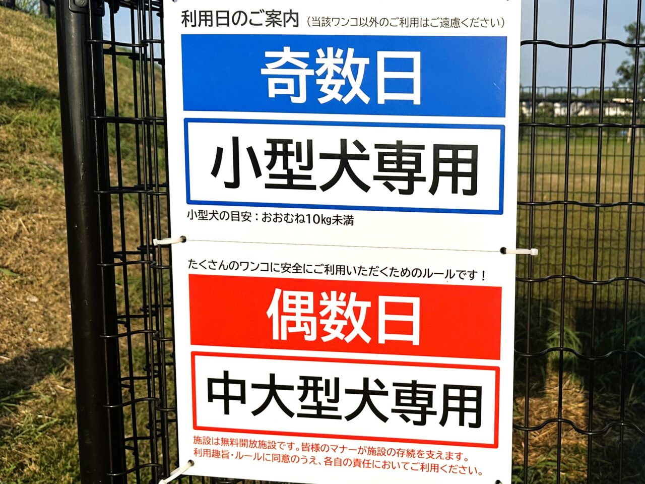 黒鳥山公園のドッグランは芝生