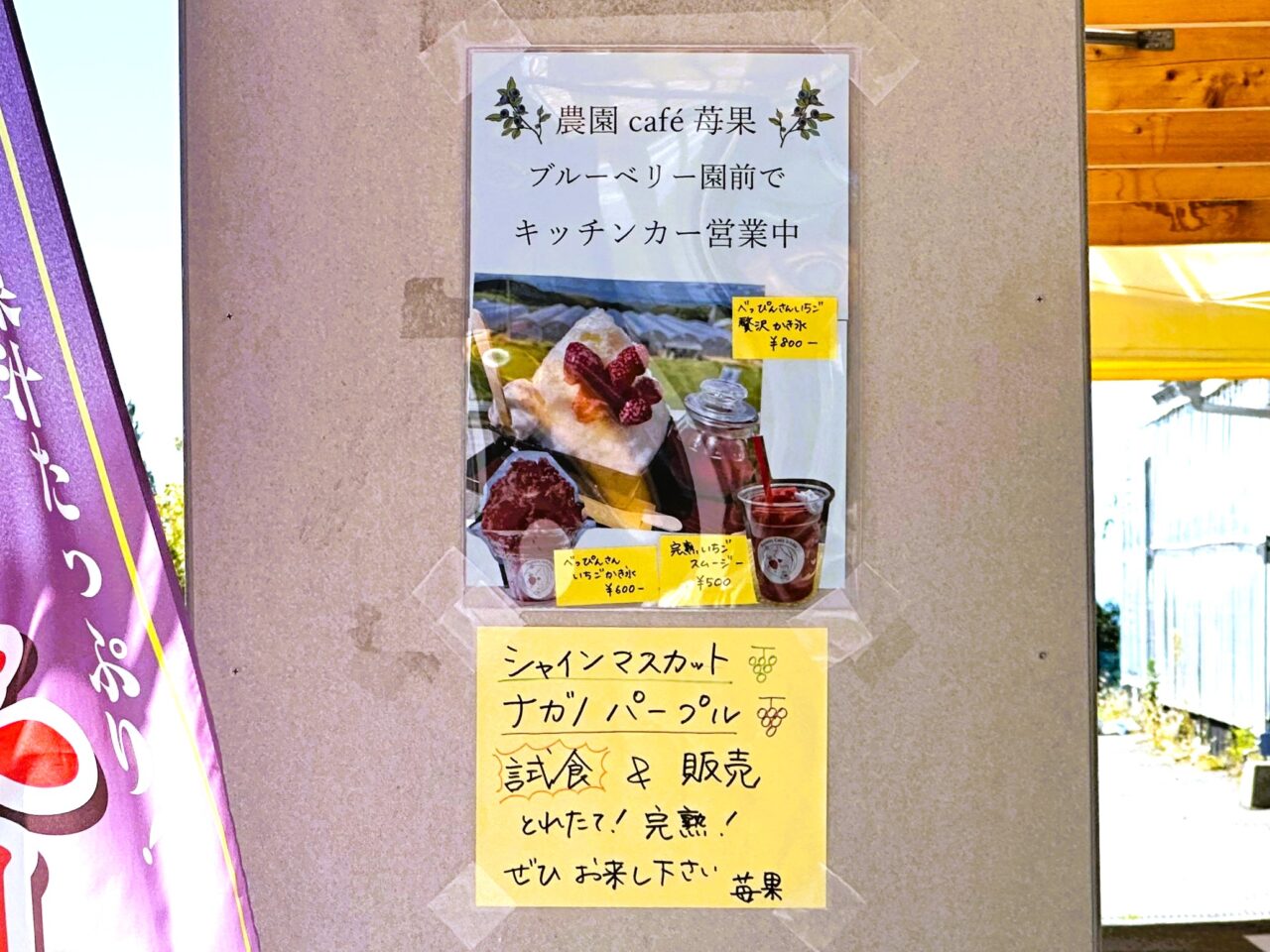 シャインマスカット、ナガノパープル、巨峰の試食販売