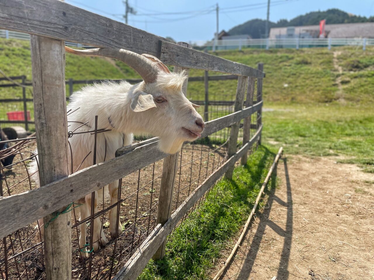 いずみふれあい農の里のやぎ
