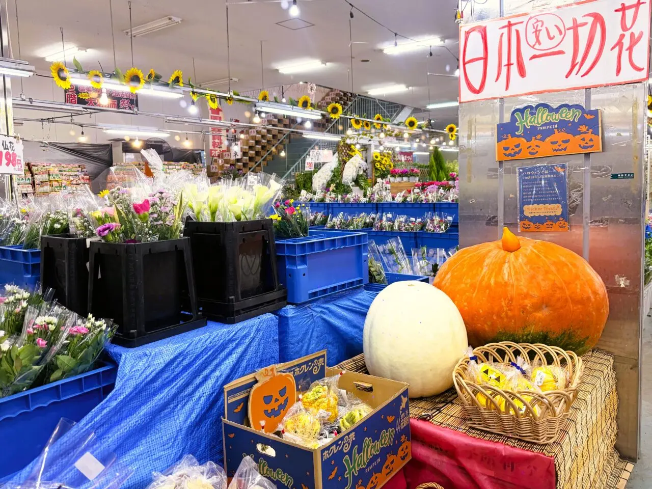 ハロウィン用の大きなかぼちゃ