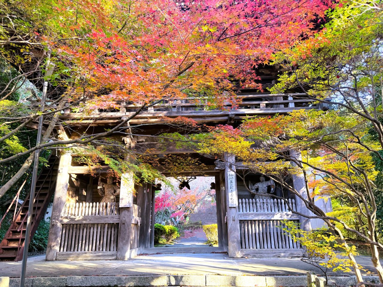 紅葉のきれいな松尾寺