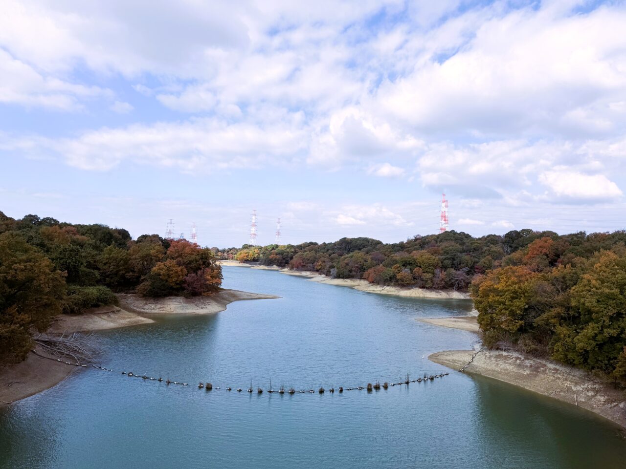光明池にいるしらさぎ