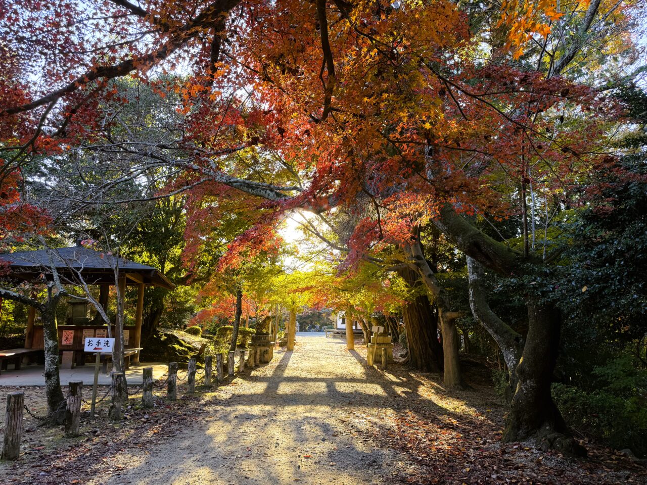 松尾寺の紅葉