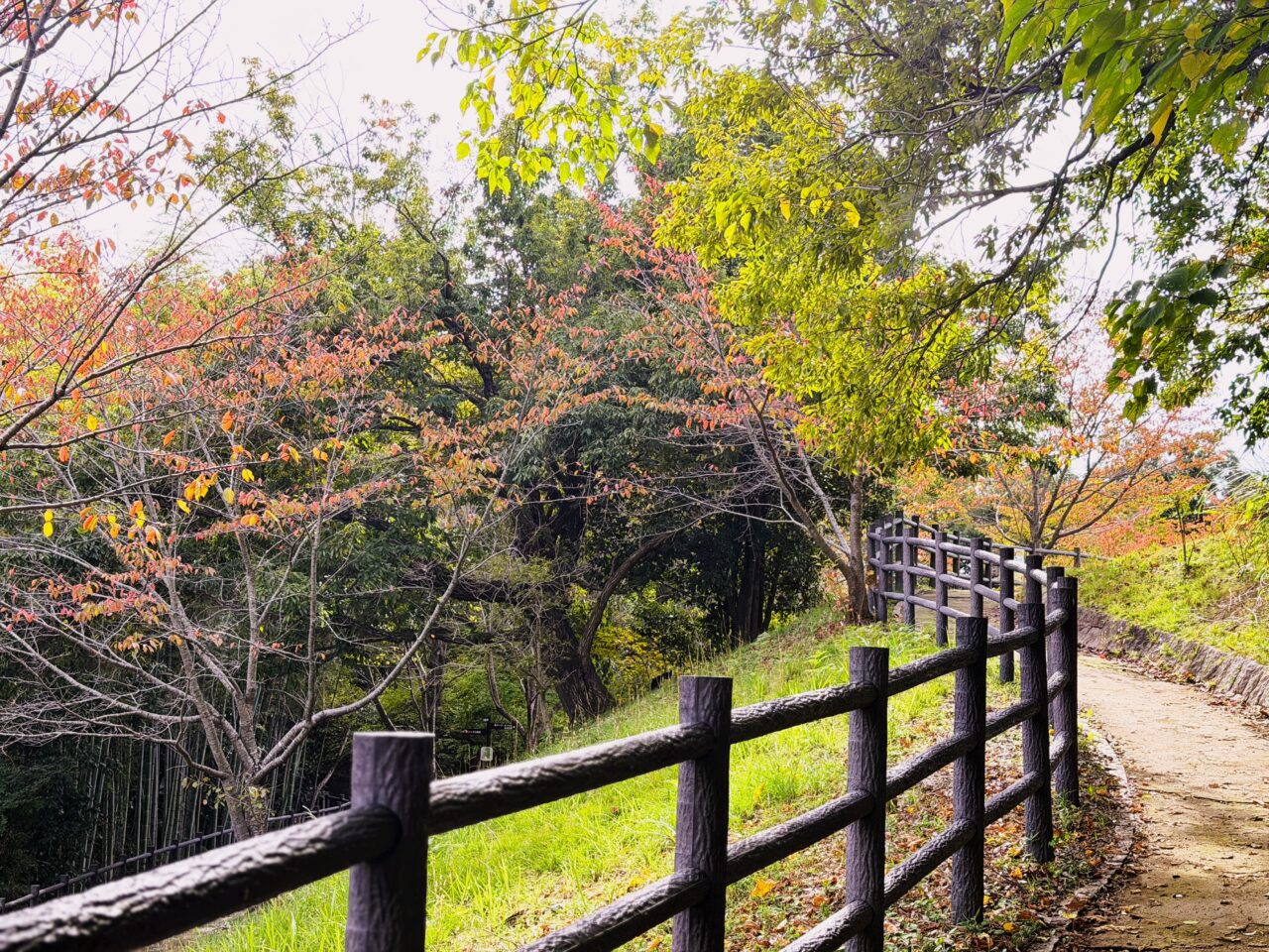 松尾寺公園 紅葉